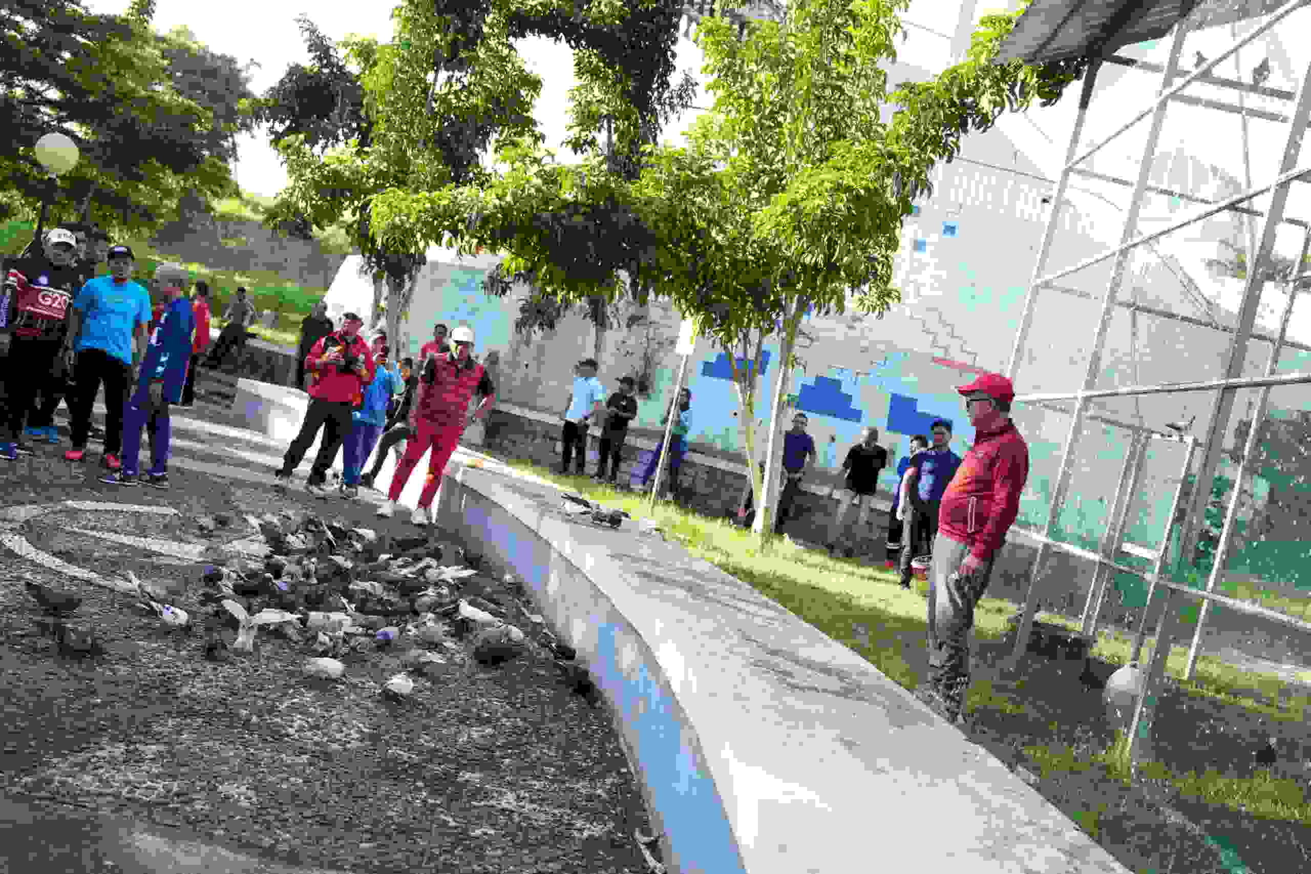 Pj Gubernur Sulbar, Bahtiar Baharuddin lepas 500 Burung Merpati. (Ist)