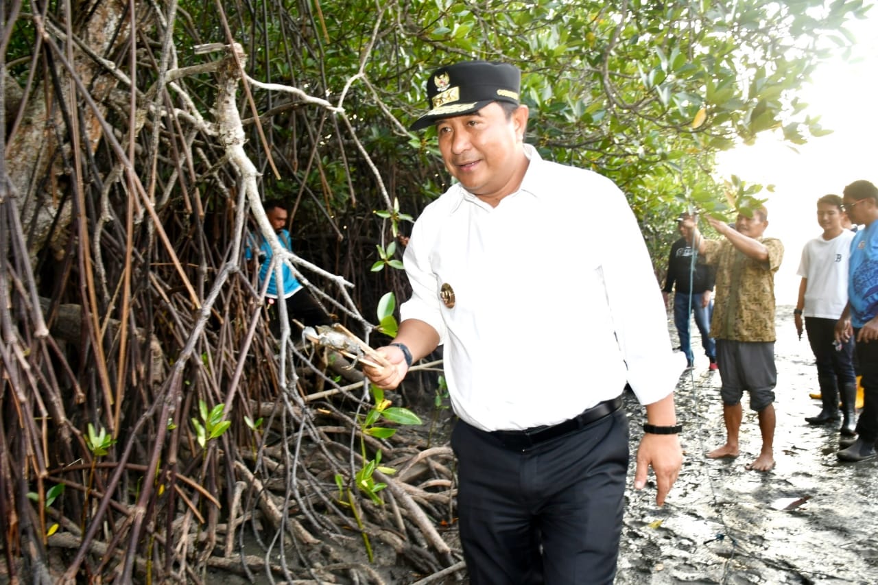 PJ Gubernur Sulbar Tebar Benih Kepiting di Hutan Bakau Desa Bambu dan Desa Sumare Kabupaten Mamuju