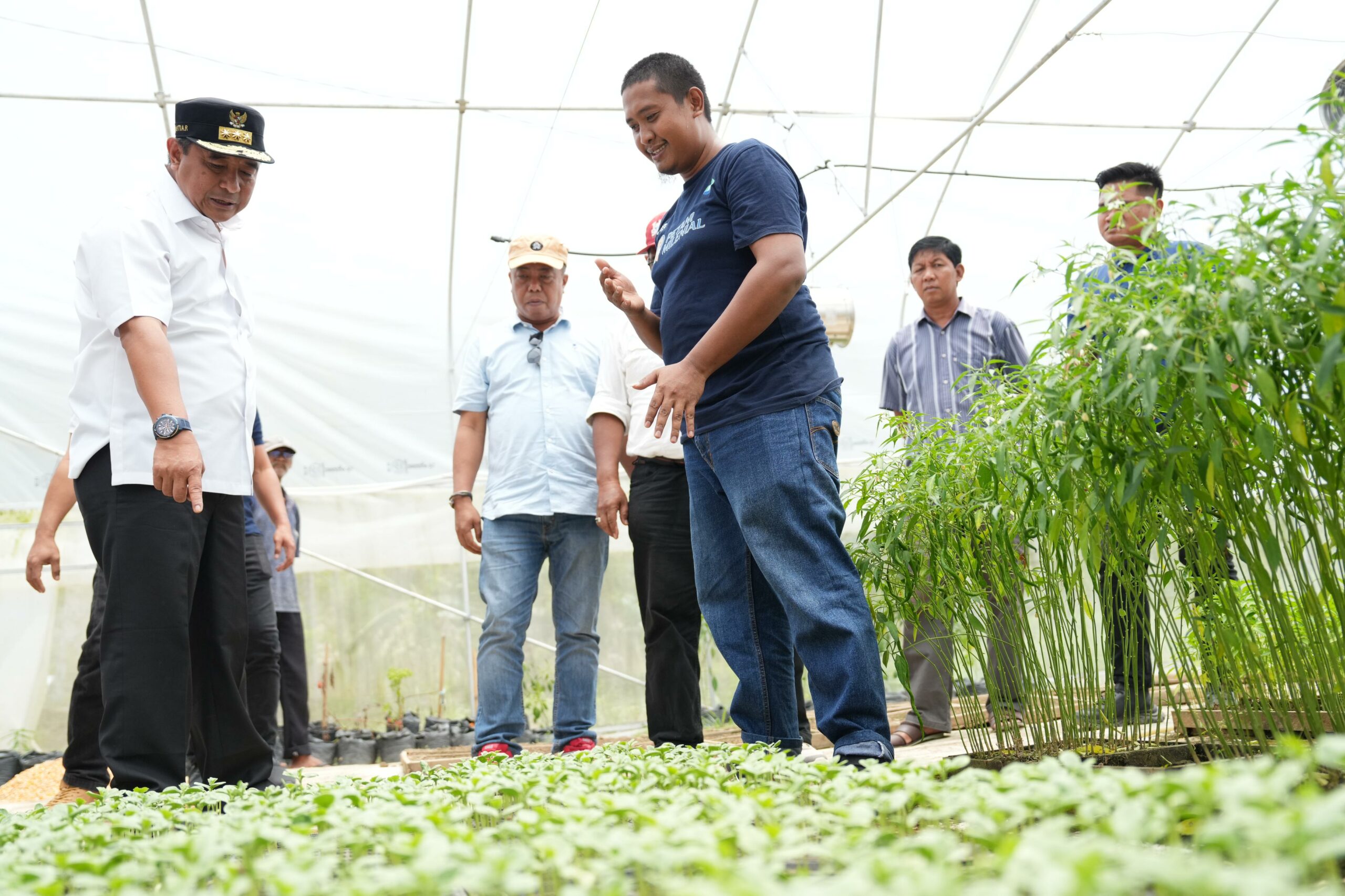Pj Bahtiar Dorong Petani Sampaga Sulbar Punya Brand Perkebunan Sendiri